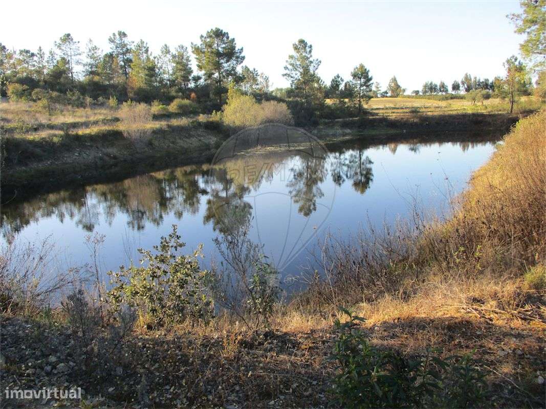 Quinta  para venda - Grande imagem: 2/24