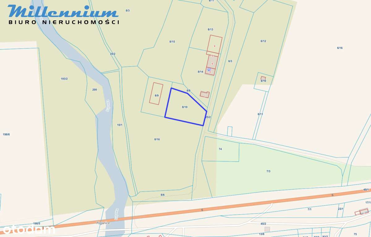 A może chcesz prowadzić spływy kajakowe?-8