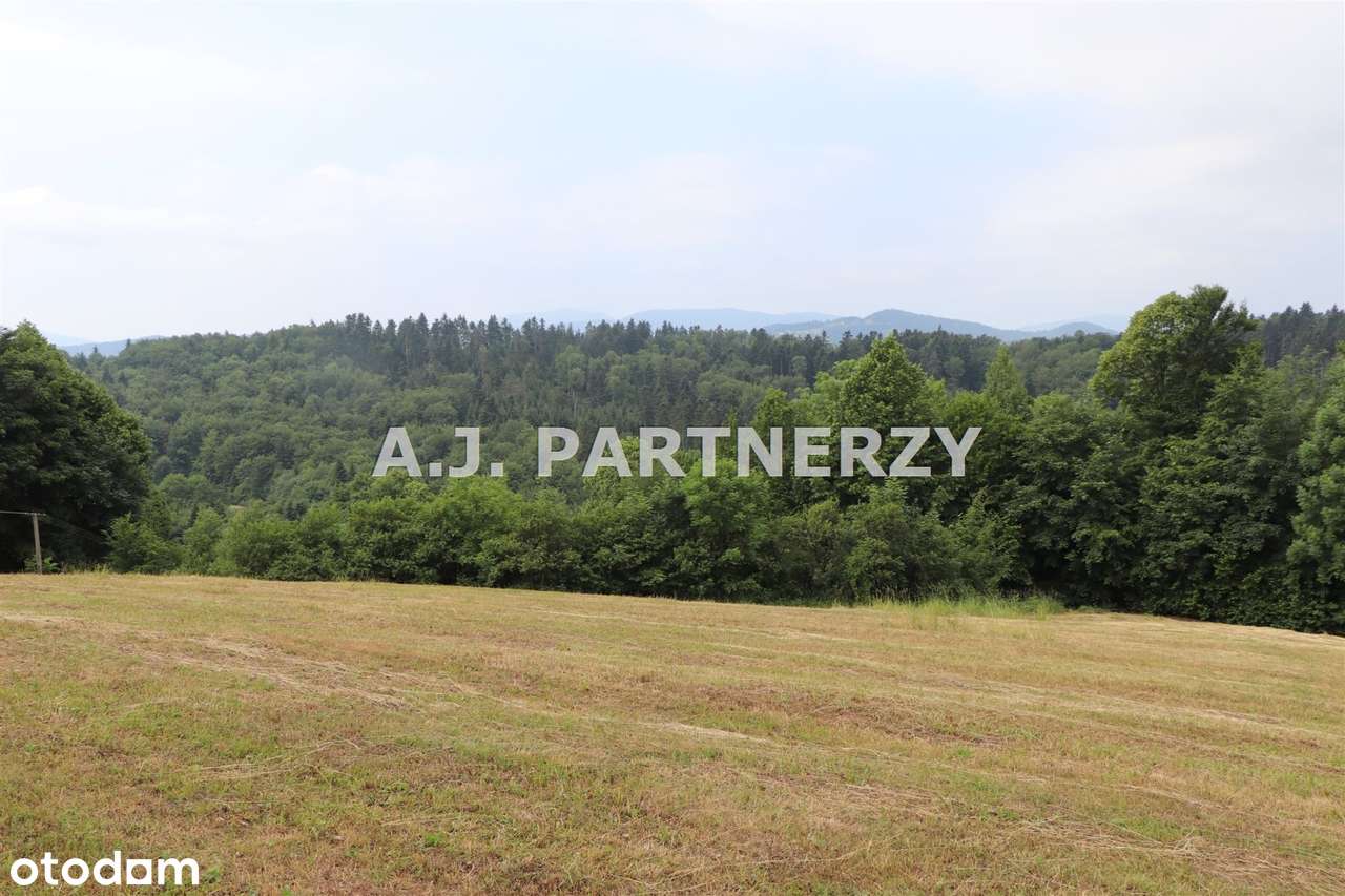 Działka w otoczeniu lasu z widokiem na góry-14