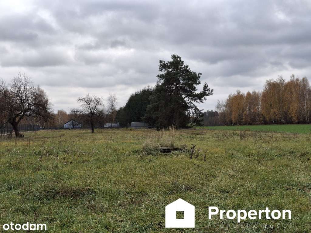 Działka 4300 m2 w miejscowości Zboiska - Pełny obrazek: 4/8