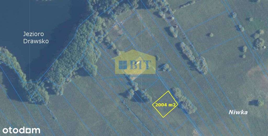Działka 2004 m2 nad Jeziorem Drawsko, Niwka - Pełny obrazek: 3/15