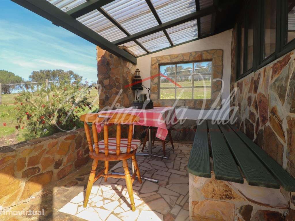 Quinta com 6,5ha em Vale Juncal - São Teotónio-44