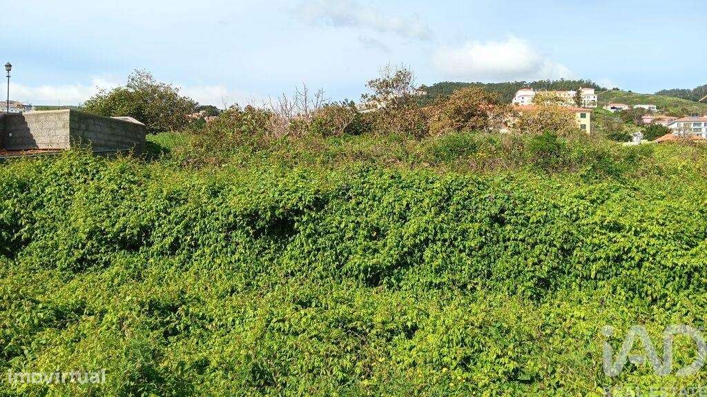 Terreno em Caniço de 1910,00 m2 - Grande imagem: 4/7