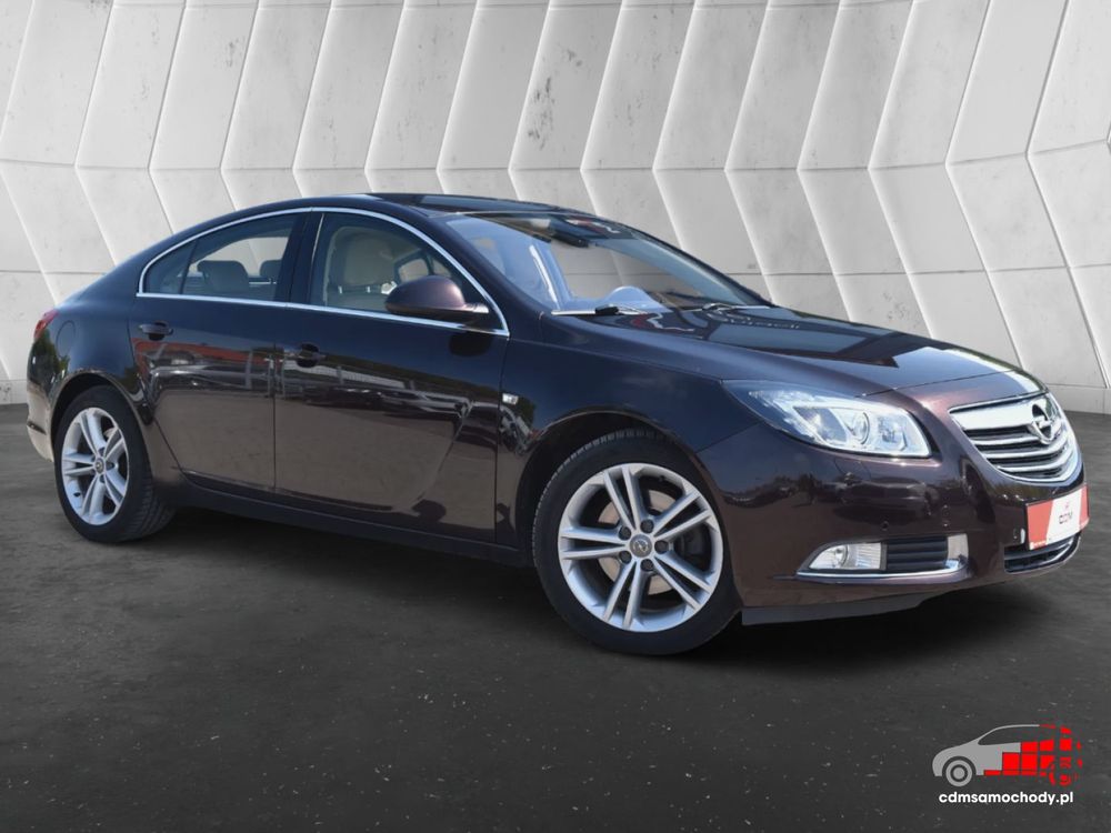 Opel Insignia A (2008-2017) 2011