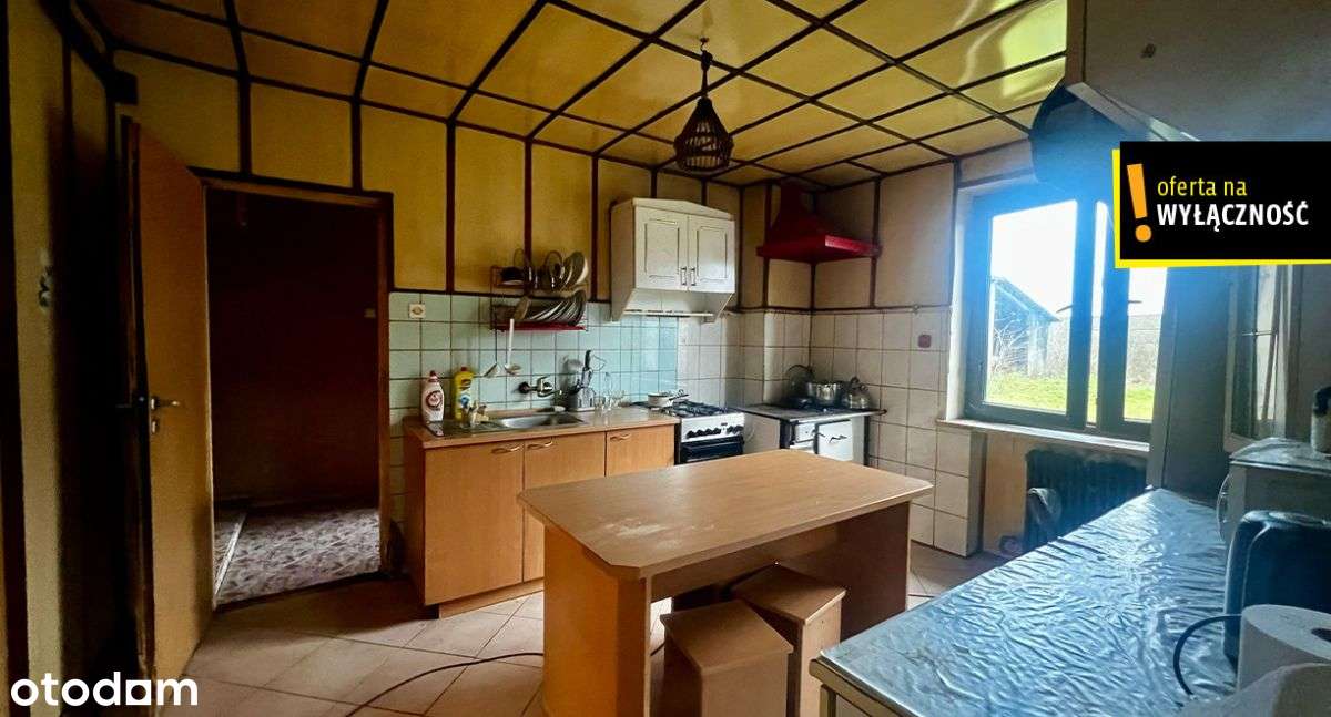 Dom jednorodzinny z dużą działką 8000 m² - Pełny obrazek: 5/18