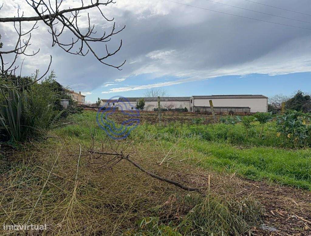 Quinta em Fânzeres, Gondomar-12