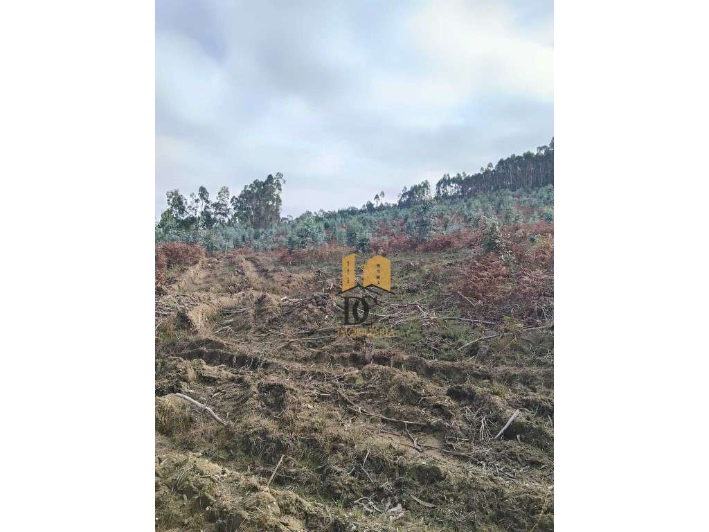 Terreno florestal em Rates-7