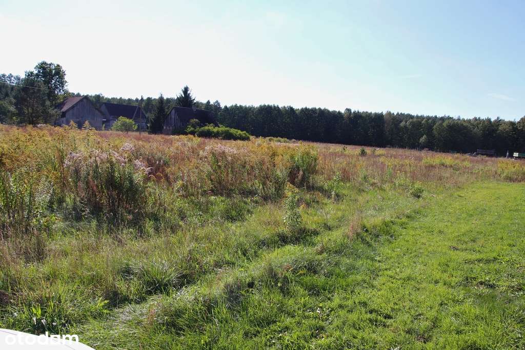 Działka budowlana 1335 m² | MPZP | Przyłęk-2