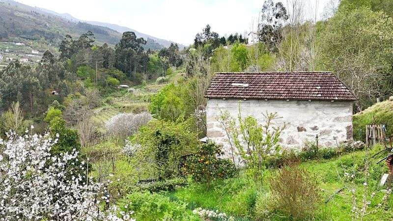 Quintinha / Cinfães, Santiago de Piães - Grande imagem: 2/17