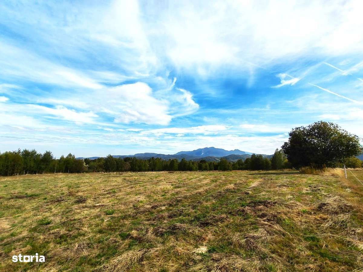 5800 mp fineata, pretabil camping, constructii A-frame, Sohodol, Bran-5