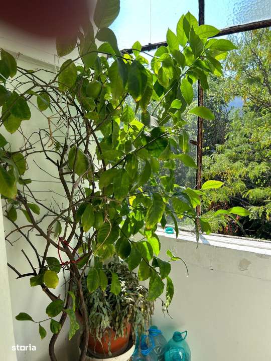 Apartament 3 camere, 67 mp, zona Simplon - Imagine principală: 4/10