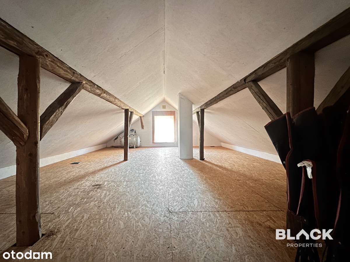 Działka 4,3 ha - ogromny potencjał inwestycyjny-16