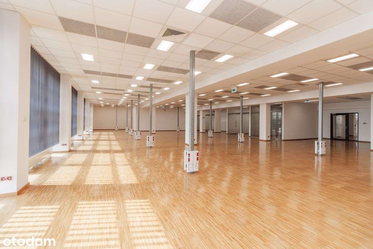 Powierzchnia biurowa | możliwy podział - Pełny obrazek: 2/9