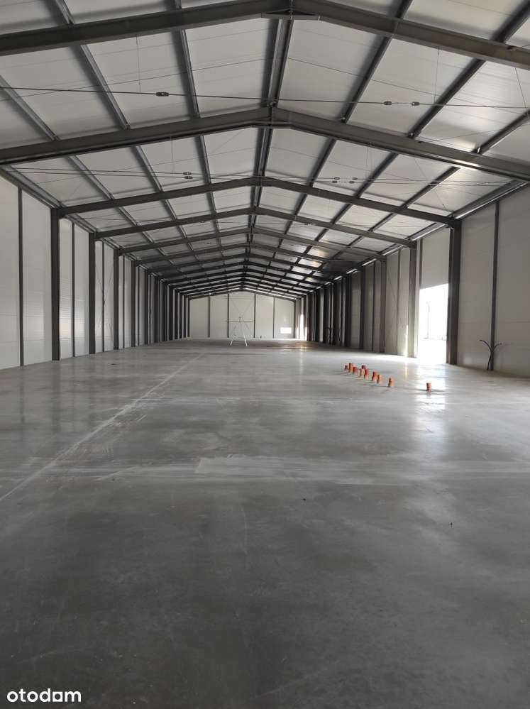 Magazyn - Pełny obrazek: 4/4