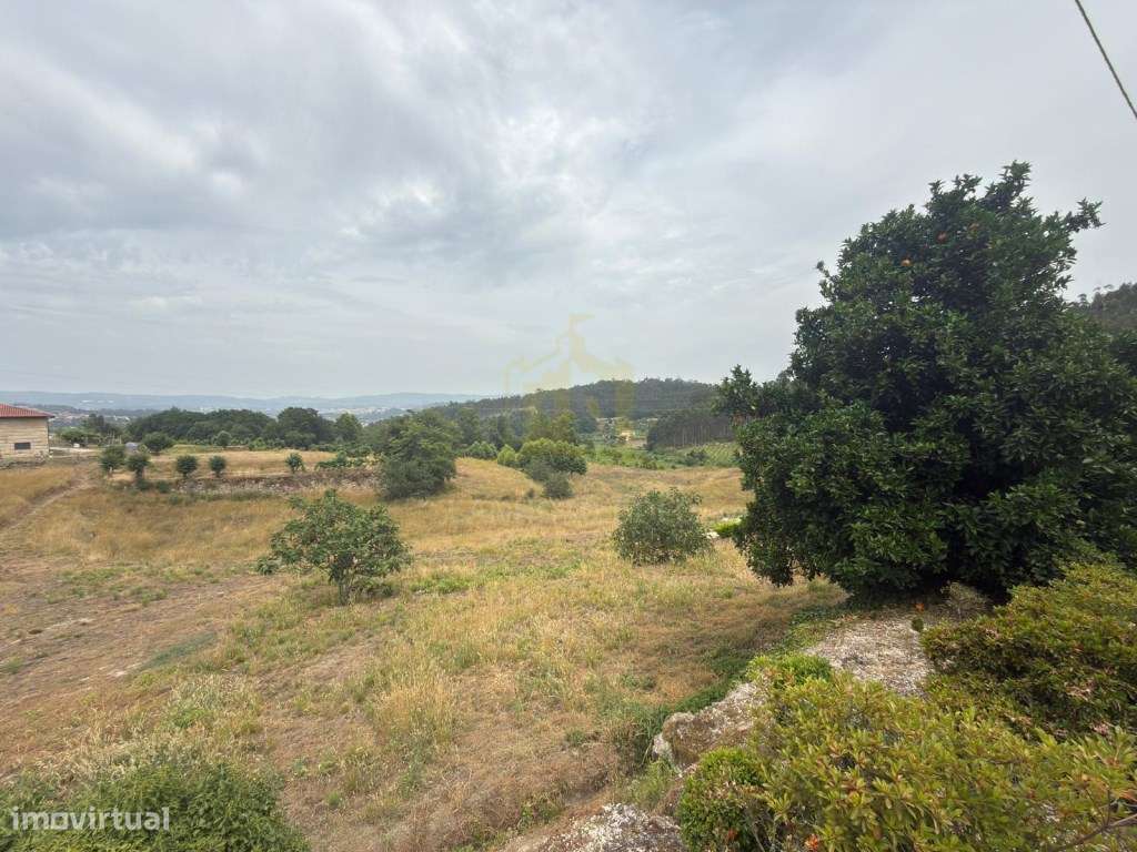 Moradia com Terreno para Restauro | 10 Hectares | Fafe-22