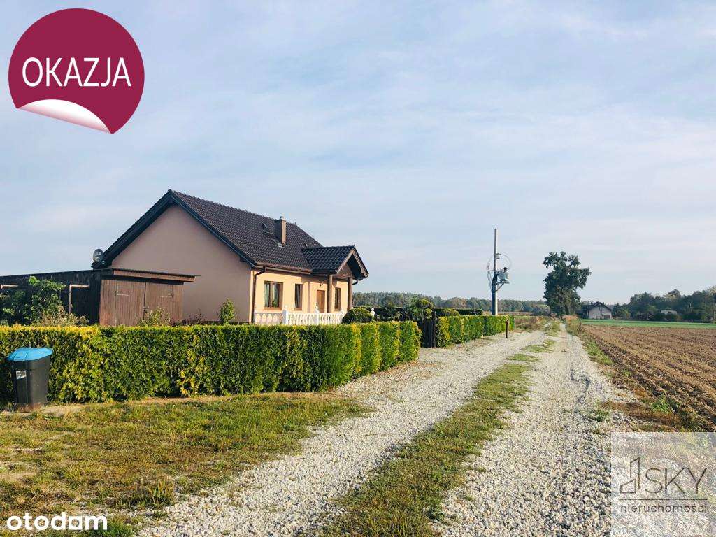 Miodary k. Oleśnicy, działki z warunkami zabudowy - Pełny obrazek: 5/11