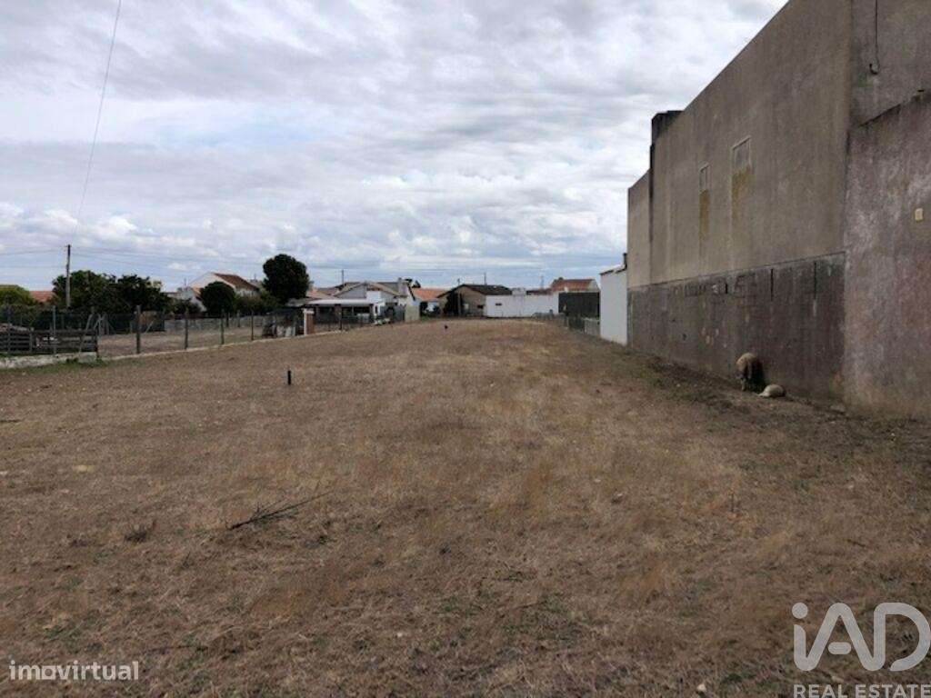 Terreno para construção em Monte Real e Carvide de 2160,00 m2 - Grande imagem: 2/17