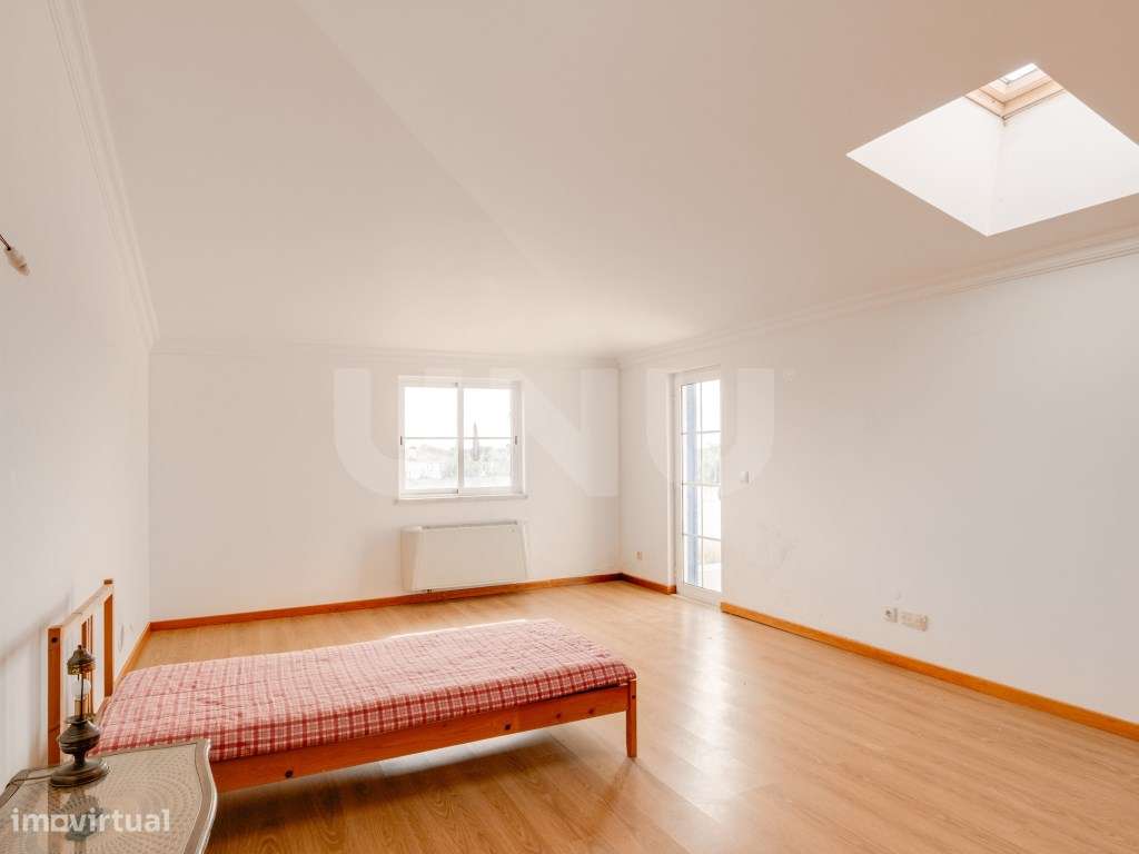 Quinta com 4,8 hectares e casa T9 em Vila Nova da Baronia-52