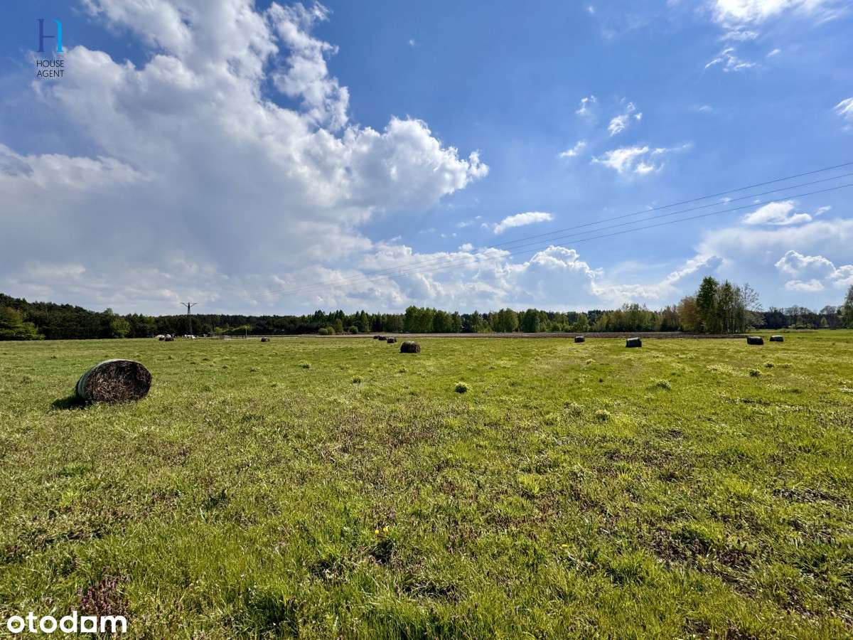 Działka budowlana wśród zieleni – Stary Adamów - Pełny obrazek: 4/9