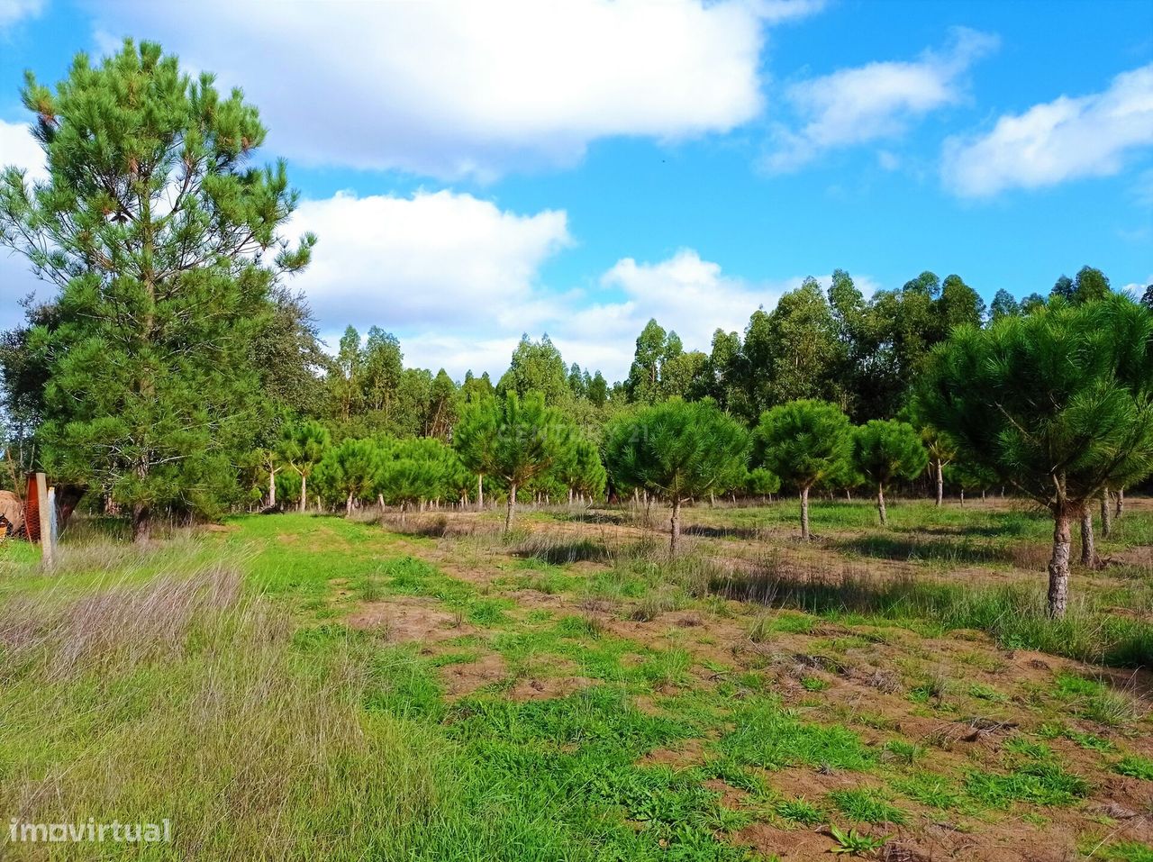 HERDADE no ALENTEJO a 40km do litoral, para fins agrícolas ou turístic