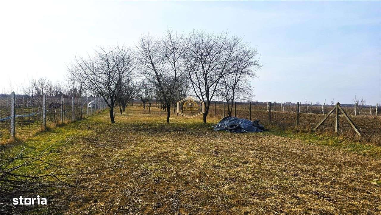 VIDEO | Teren generos, cu livada si casa de vacanta in Satu Mare-7