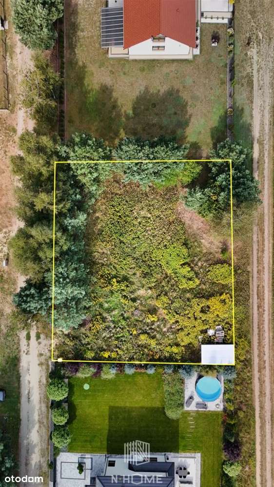 Pęciszów koło Trzebnicy/otoczenie lasów - Pełny obrazek: 4/6