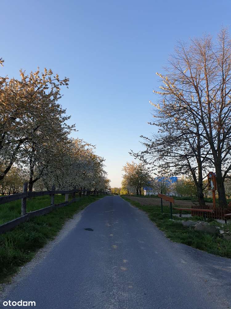 5X Działki budowlane u podnóża Ślęży – Sady k. Sobótki! | Piękny widok-11