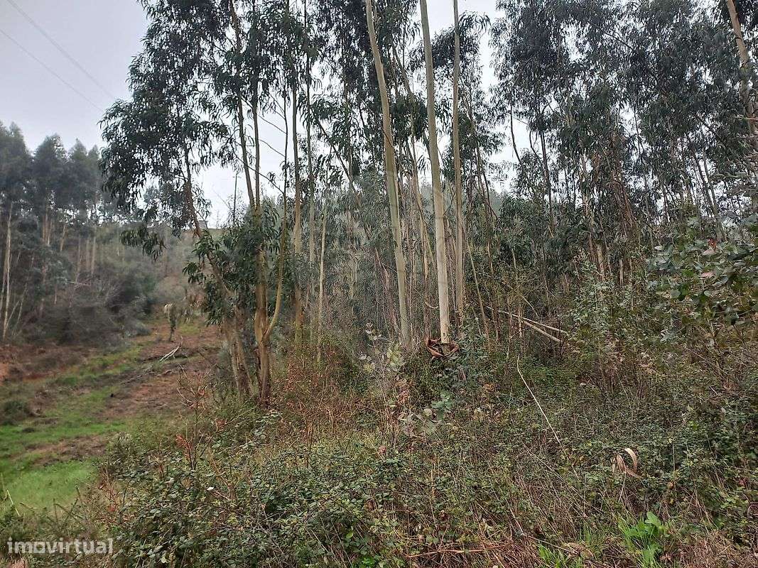 Terreno  para venda - Grande imagem: 2/3