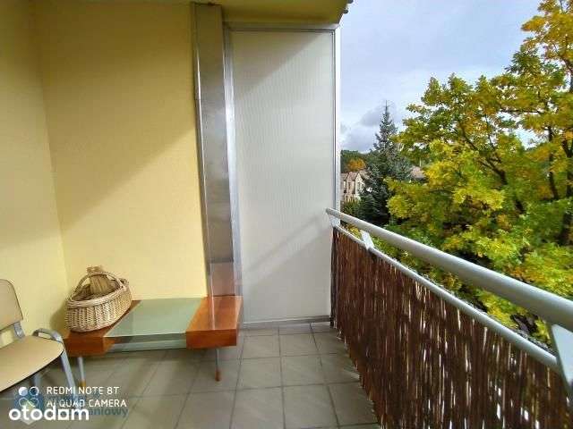 Dębina, 60,5 m, miejsce postojowe, komórka-11