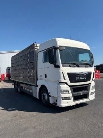 MAN TGX 2016