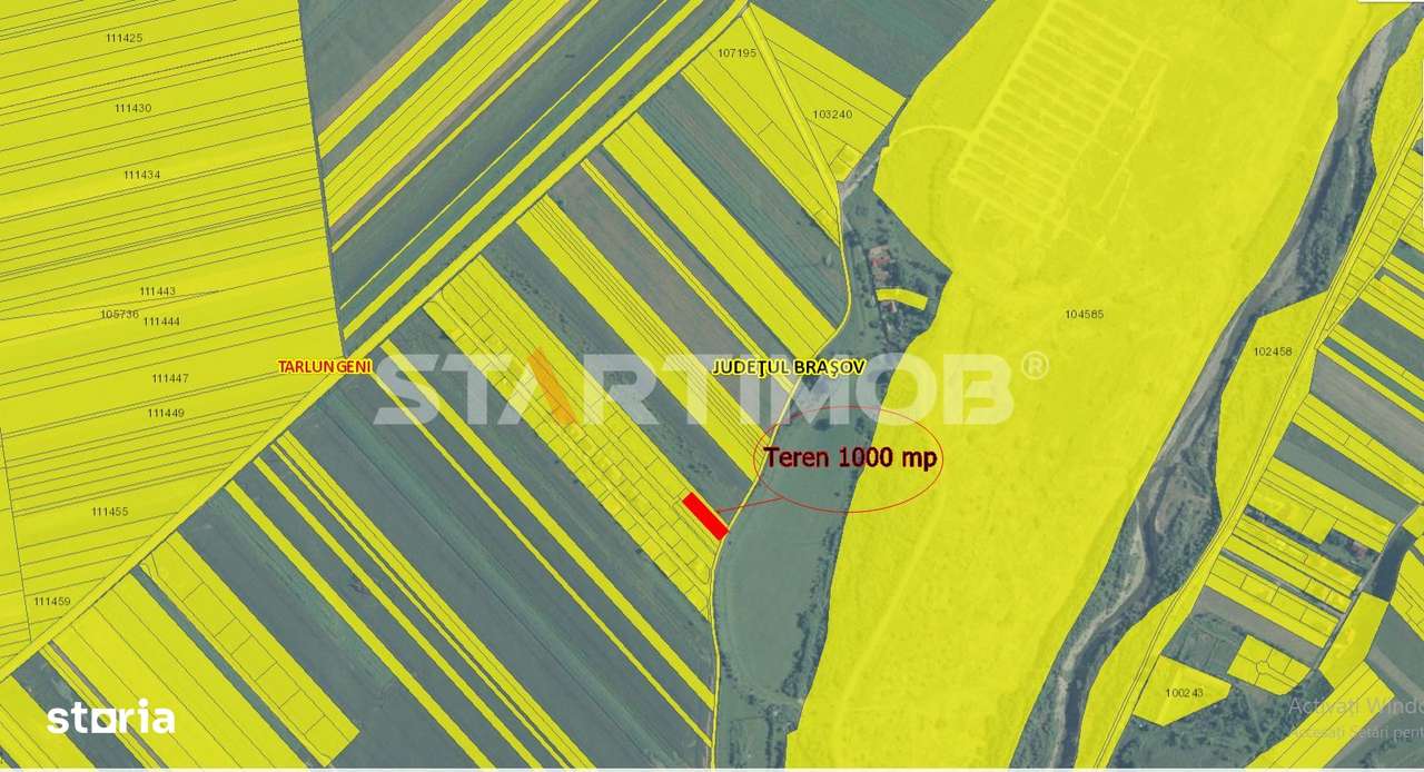 Teren Intravilan Tarlugeni - Imagine principală: 3/9