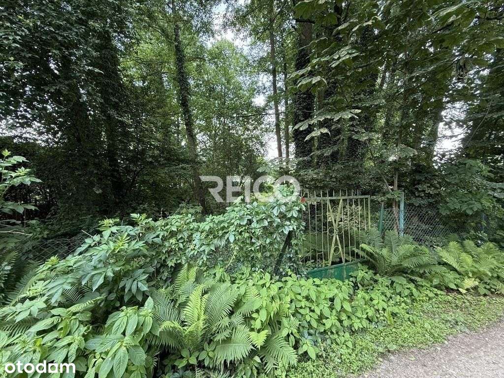 Pierwsza linia zabudowy nad Narwią - Pełny obrazek: 5/9