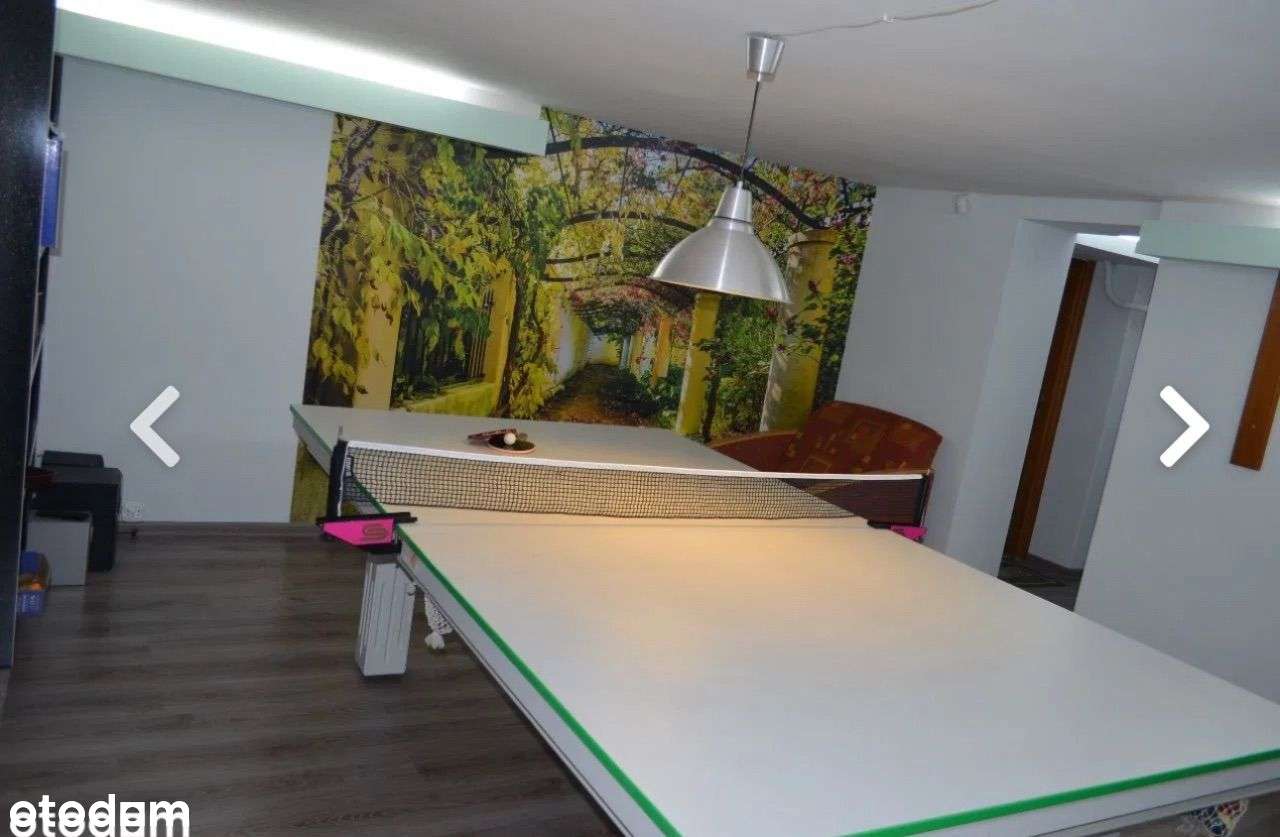 Widok na górę i las - bezpośrednio - Pełny obrazek: 4/16