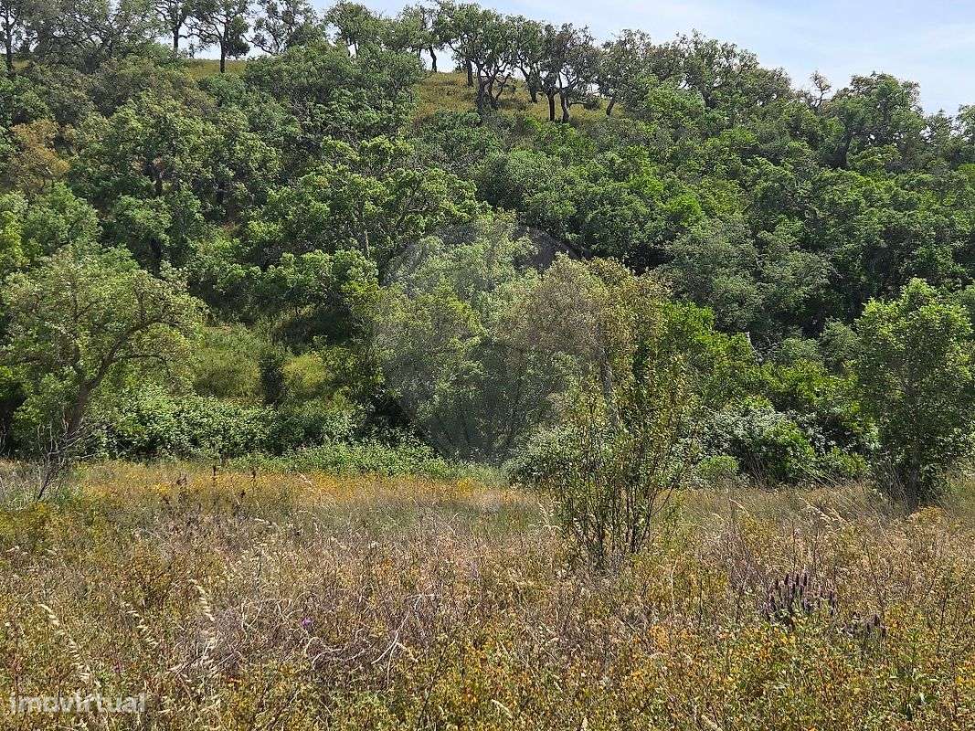 Terreno  para venda-6