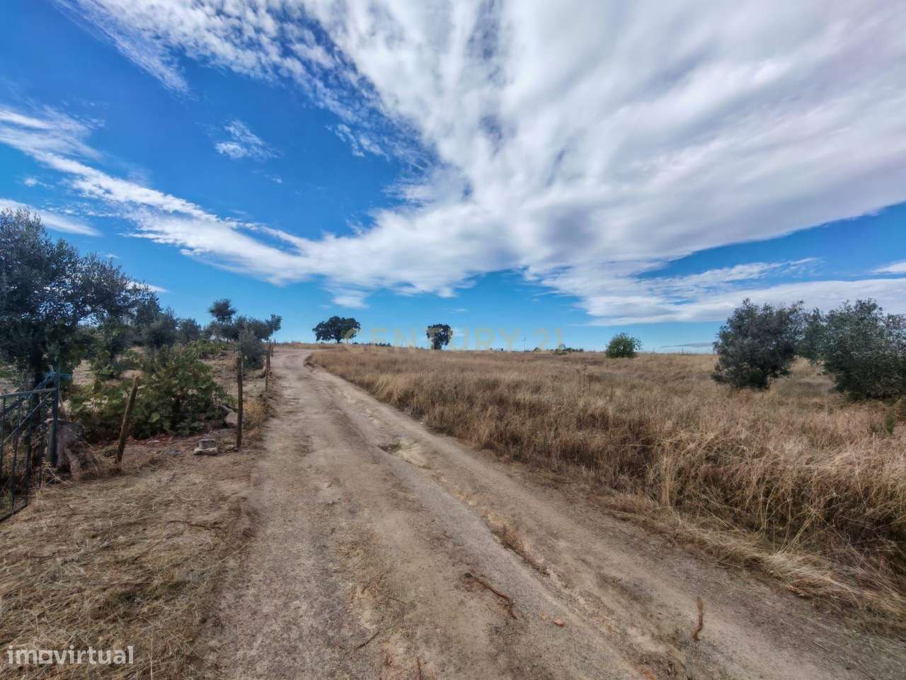 Terreno Rústico em Lousa , Castelo Branco - Grande imagem: 2/12