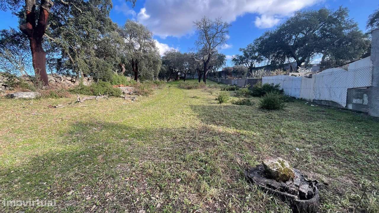 Terreno Rústico | Escalos de Cima, Castelo Branco - Grande imagem: 4/4