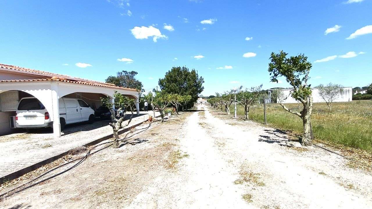 Quinta Pegões Velhos, junto á adega, com moradia e armazém lote 3,8 ha-42