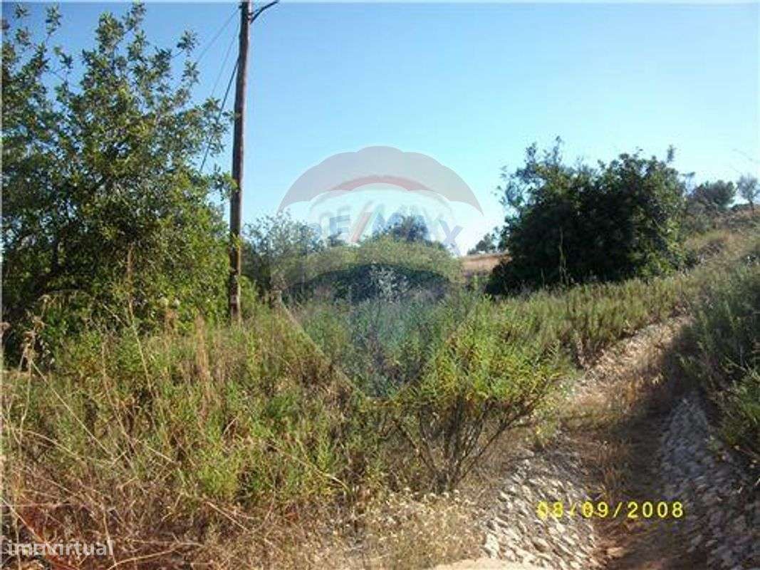 Terreno  para venda - Grande imagem: 3/13