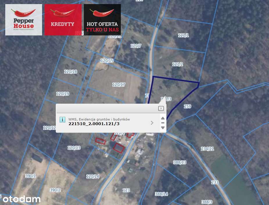 3 działki - 2,5 km od jeziora - 2 w linii rzeki. - Pełny obrazek: 5/5