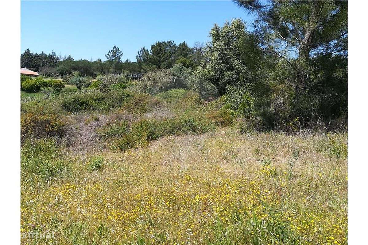 Terreno  para venda-10