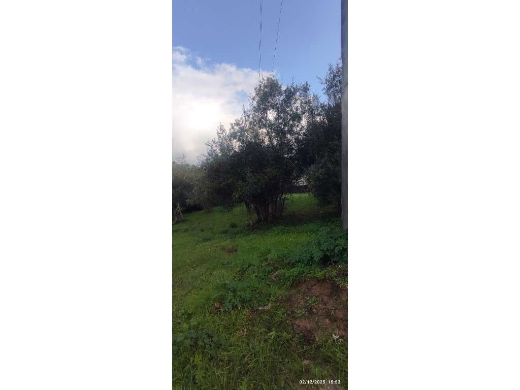 Casa para restauro com 6000m2 de terreno, localização única entre a...-15