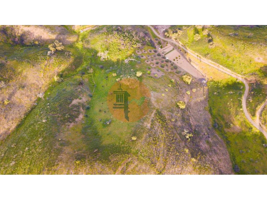 Terreno Rústico - 14600m2 - Fontainhas - Cortelha - Azinhal - Castr... - Grande imagem: 5/12