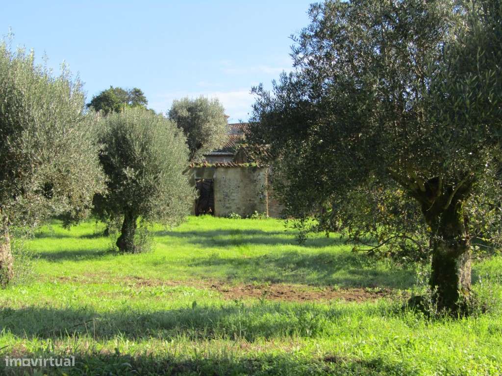 Casa do Páteo, Mouriscas, Abrantes-6