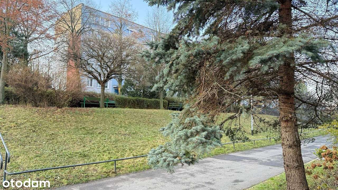 Przestronne mieszkanie z potencjałem - Poznań osiedle Kosmonautów-14