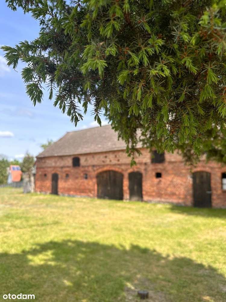 Dom z budynkiem gospodarczym we wsi Krobielewko-16