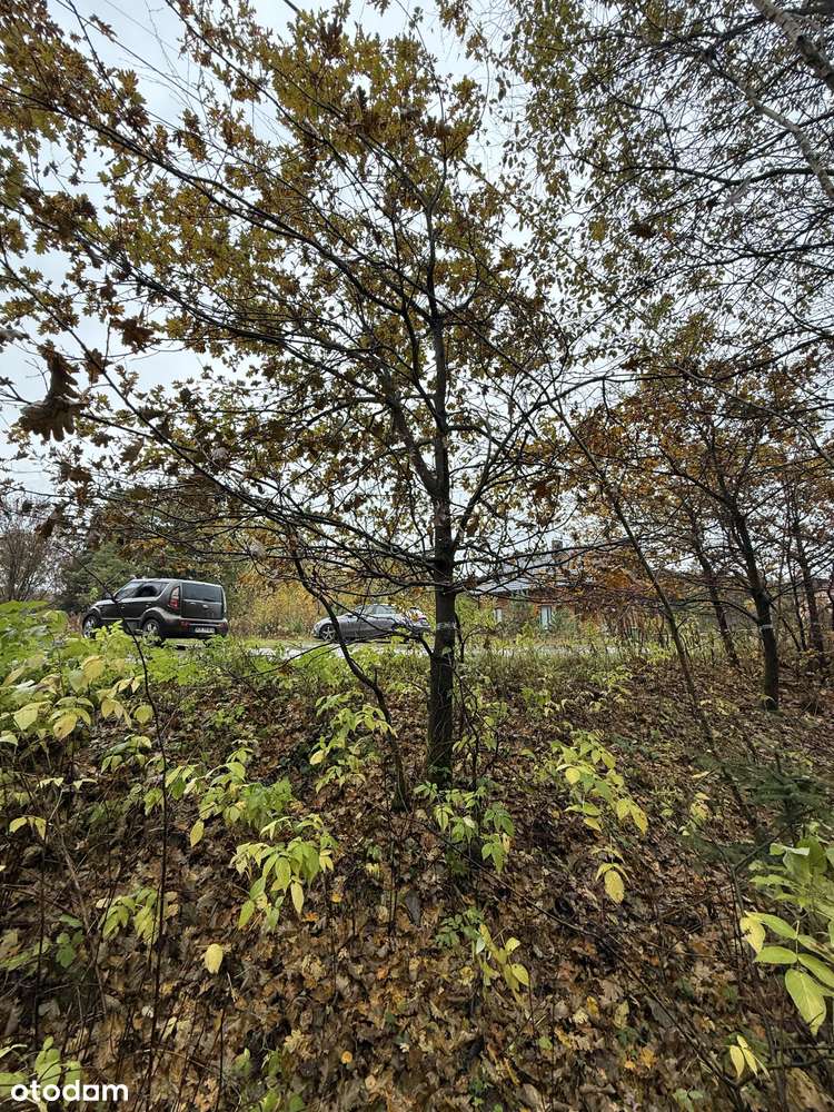 Działka rolna 60,1 a – Alwernia, ul. Modrzewiowa-3