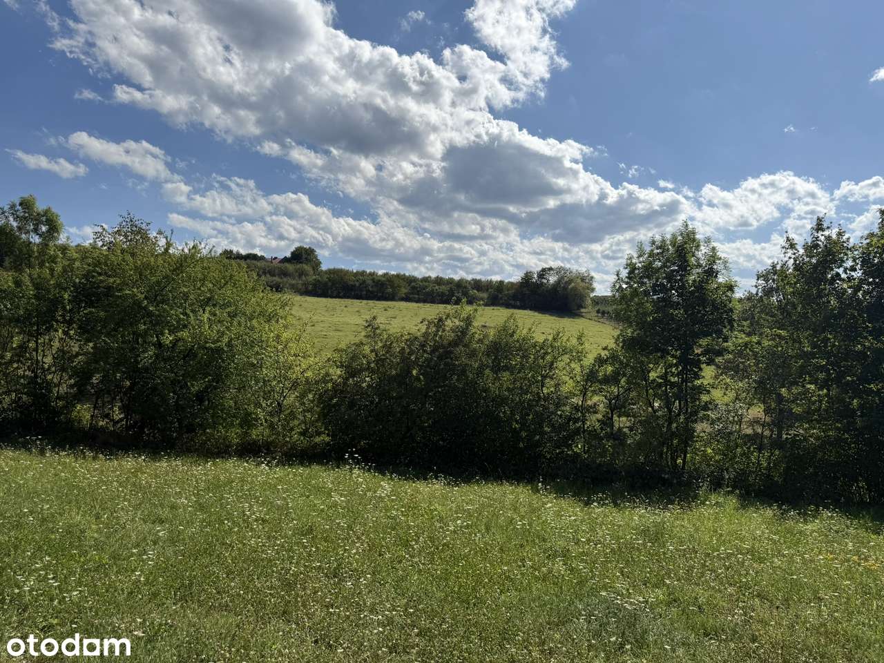 Bojańczyce - widokowa działka budowlana-5