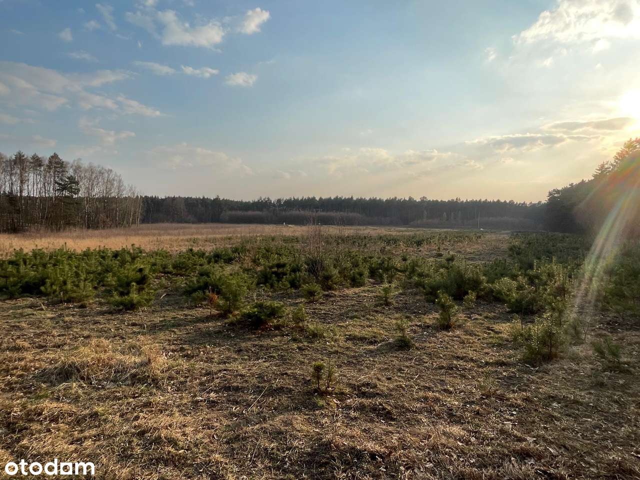 Atrakcyjne Działki Budowlane w Ossie 1000 M² - Pełny obrazek: 4/19