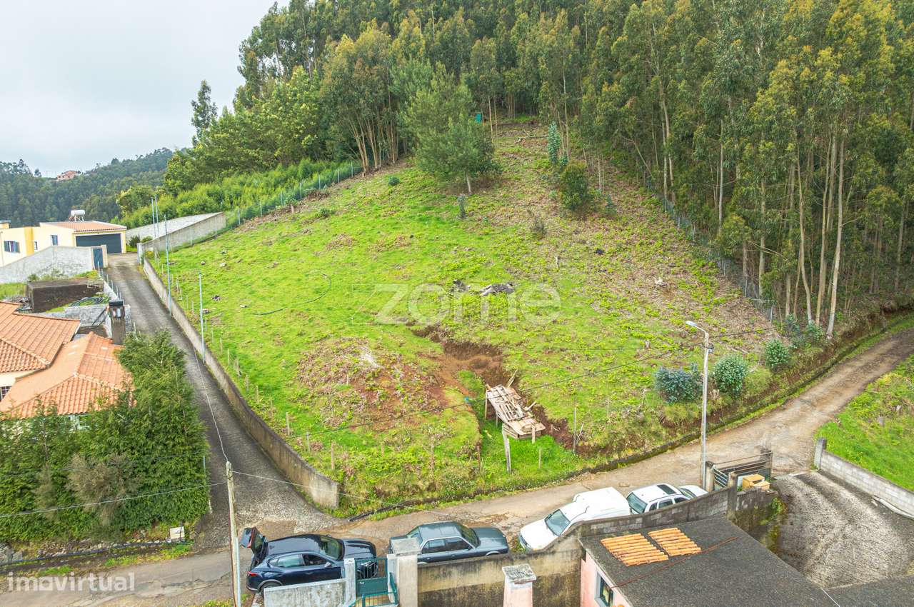Terreno Urbanizável com 2450 m2 na Camacha, Santa Cruz - Grande imagem: 4/24