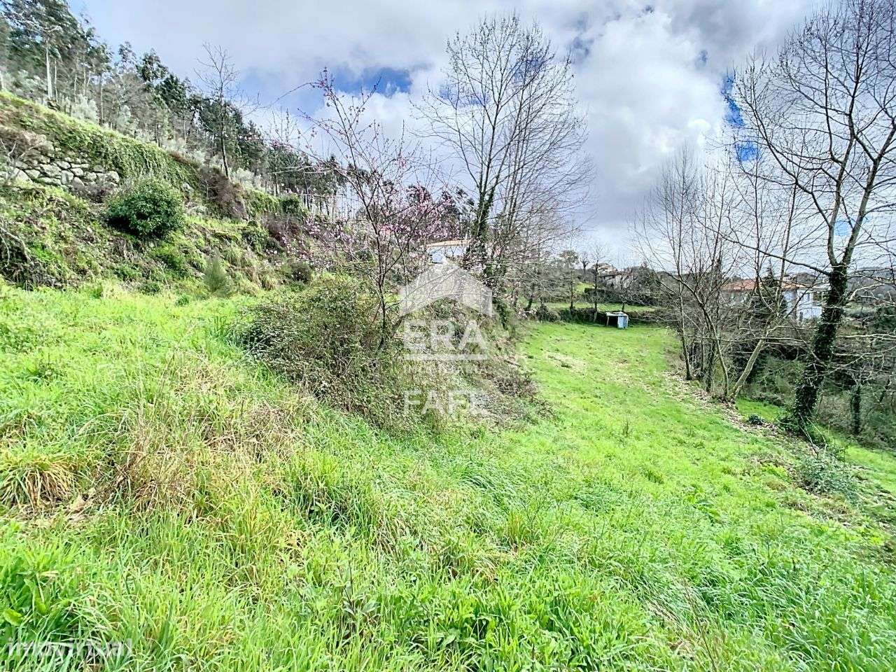 Terreno com a área de 8.100m2 em Cabeceiras de Basto - Grande imagem: 2/12